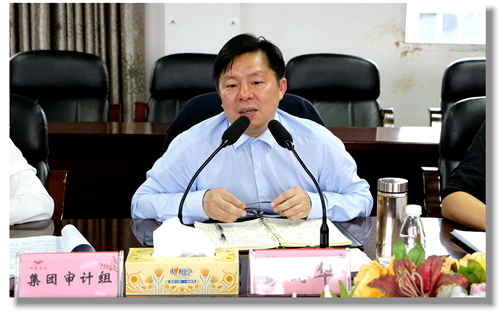 集團黨委委員、紀委書記彭向華強調審計整改工作要深挖思想根源(圖2)