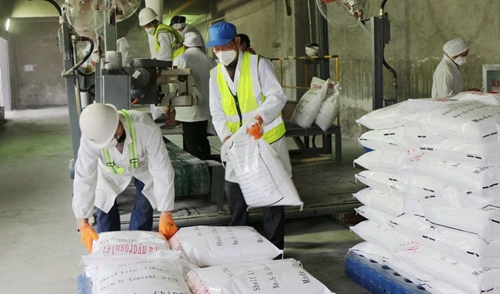 股份公司保險(xiǎn)粉分廠(chǎng)順利開(kāi)車(chē)復(fù)產(chǎn)(圖3)