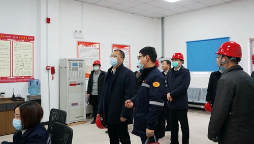 松滋市委副書記、市長陳良帶隊到松滋肥業調研(圖1)