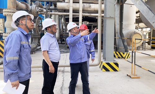 王大真到新疆天運現場調研(圖1) 王大真到新疆天運現場調研(圖1)