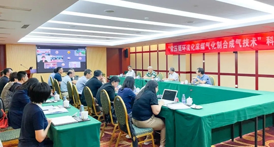 通過鑒定!新疆宜化一項技術達國際領先水平!(圖1) 通過鑒定!新疆宜化一項技術達國際領先水平!(圖1)