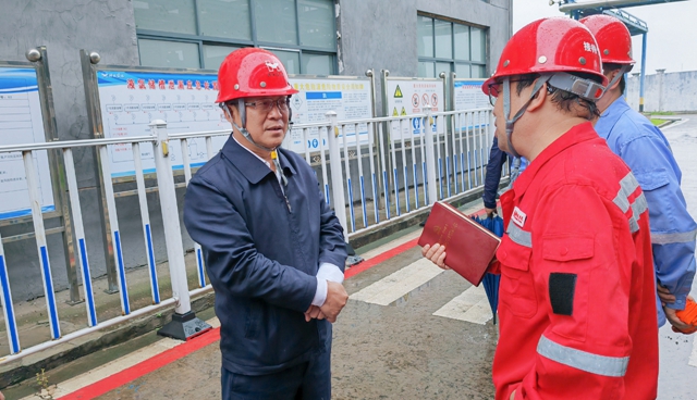 王大真到松滋肥業、楚星公司和股份公司現場檢查安全生產工作(圖2)