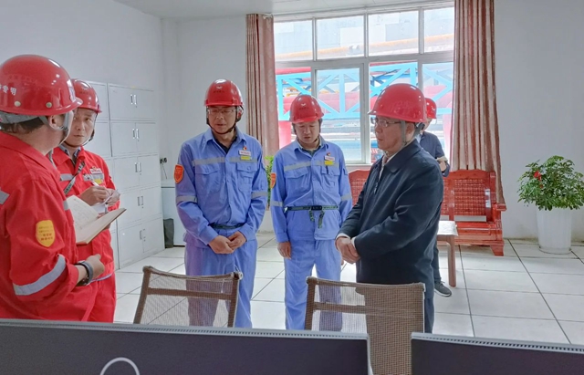 王大真到松滋肥業、楚星公司和股份公司現場檢查安全生產工作(圖3)