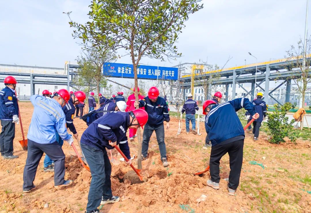 “植”此青綠共“樹”未來！集團(tuán)各公司開展植樹活動(dòng)(圖8)