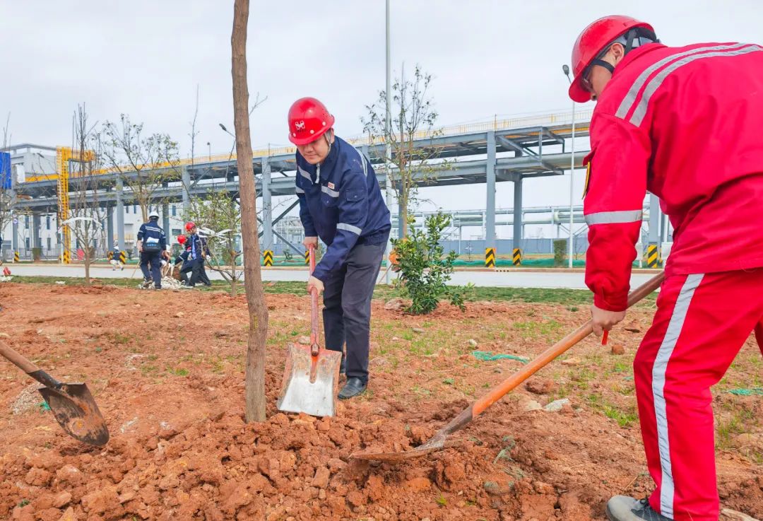 “植”此青綠共“樹”未來！集團(tuán)各公司開展植樹活動(dòng)(圖11)