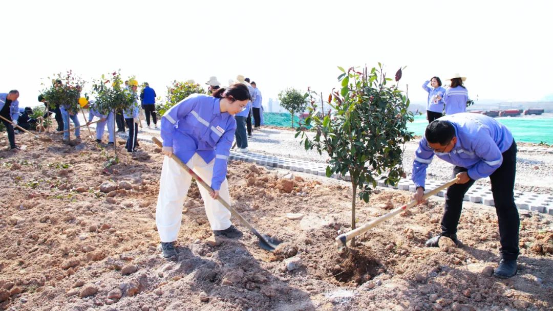 “植”此青綠共“樹”未來！集團(tuán)各公司開展植樹活動(dòng)(圖16)