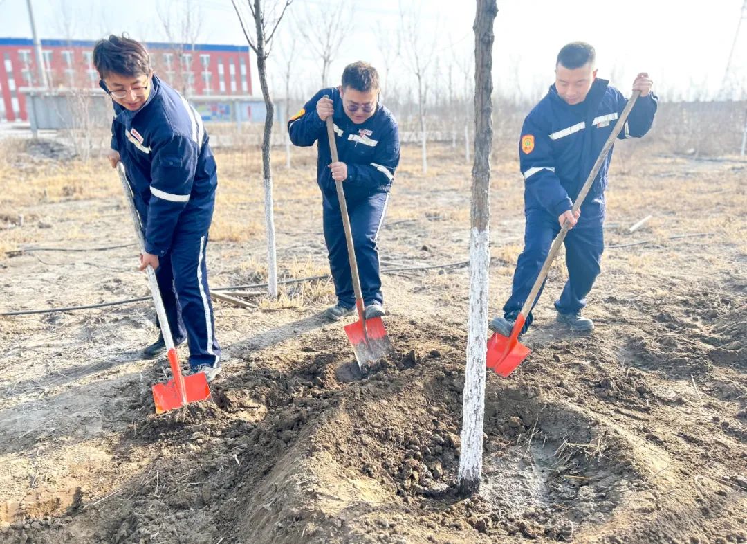 “植”此青綠共“樹”未來！集團(tuán)各公司開展植樹活動(dòng)(圖20)