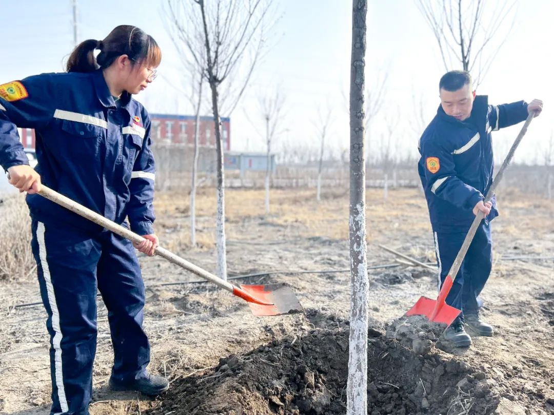 “植”此青綠共“樹”未來！集團(tuán)各公司開展植樹活動(dòng)(圖21)