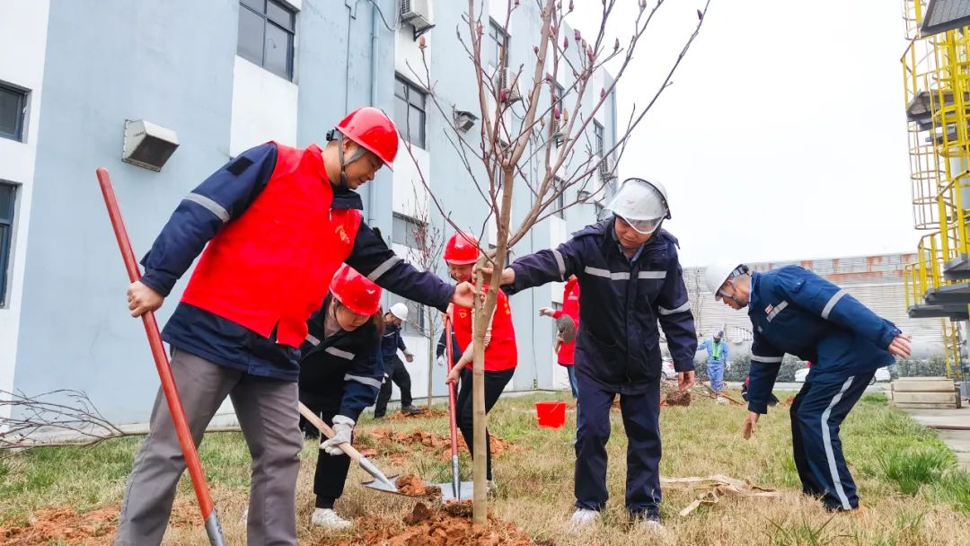 “植”此青綠共“樹”未來！集團(tuán)各公司開展植樹活動(dòng)(圖26)