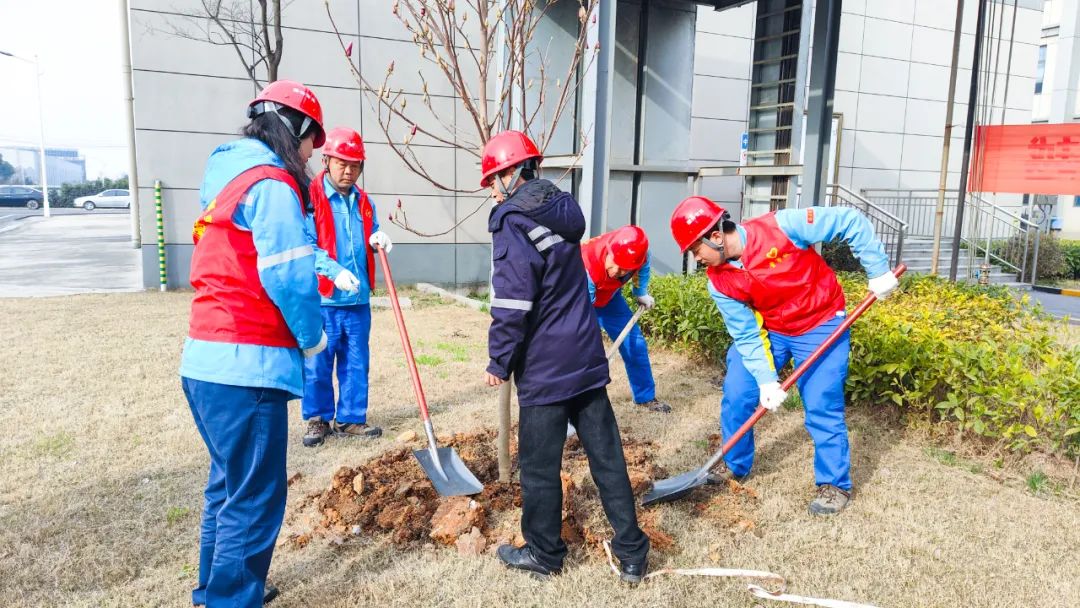 “植”此青綠共“樹”未來！集團(tuán)各公司開展植樹活動(dòng)(圖25)