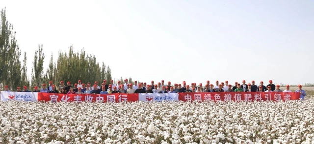 宜化豐收中國行!新疆棉花大型測產(chǎn)觀摩會成功舉行(圖1) 宜化豐收中國行!新疆棉花大型測產(chǎn)觀摩會成功舉行(圖1)