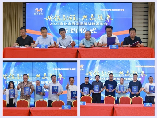 增值引領共贏疆來！2024宜化宜冠滴品牌戰略發布會在新疆輪臺縣成功舉行(圖6)