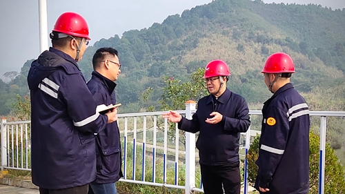 王大真到松滋肥業、楚星公司、新材料公司和股份公司現場調研