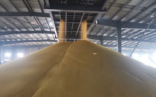 新年新氣象！楚星公司黃色磷酸二銨產(chǎn)品成功下線